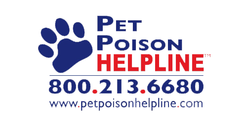 Pet Poison Helpline | Amigo Animal Hospital | Westminster, CA