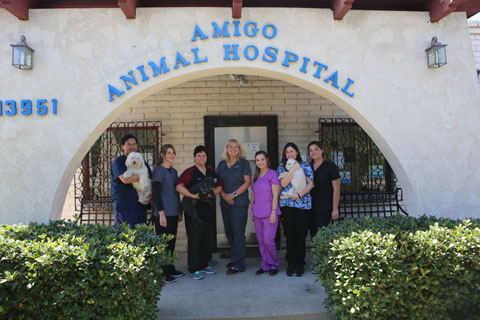 Virtual Office Tour | Westminster, CA | Amigo Animal Hospital